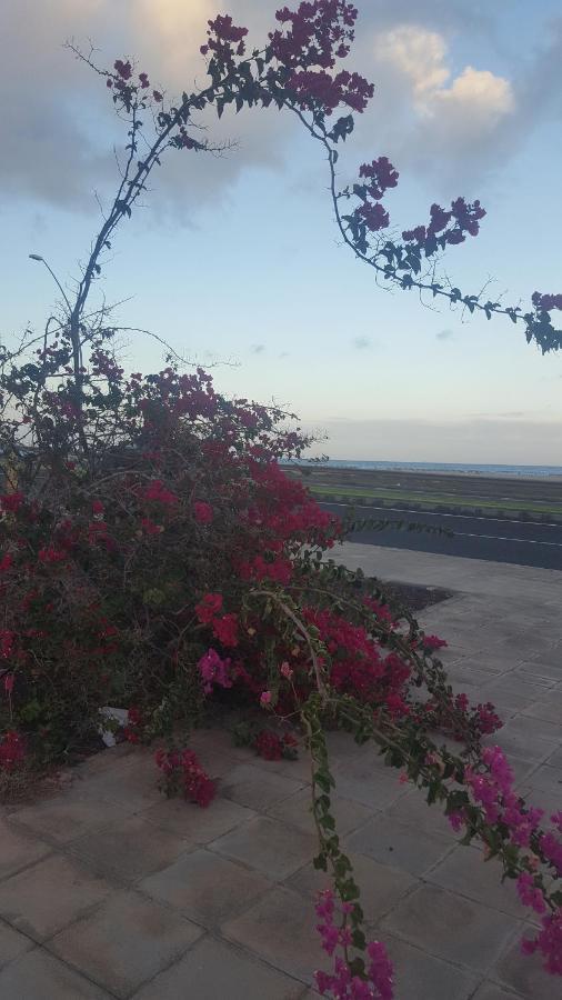 Esquinzo Residenzial Διαμέρισμα Playa Jandia Εξωτερικό φωτογραφία